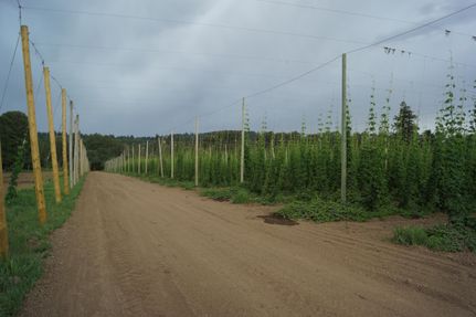 Property in Polk County, Oregon