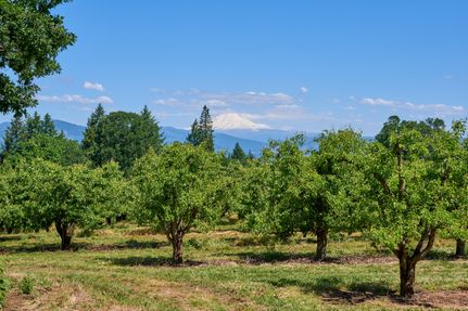 Property in Hood River County, Oregon