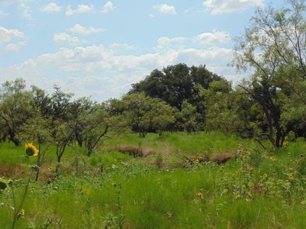 Property in Coleman County, Texas