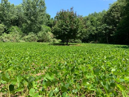 Property in Calhoun County, Michigan