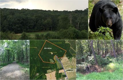 Property in Franklin County, Pennsylvania