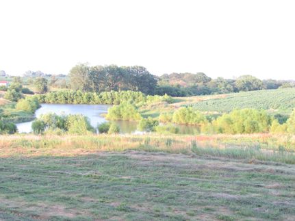 Property in Davis County, Iowa