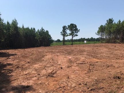 Property in Lee County, Alabama