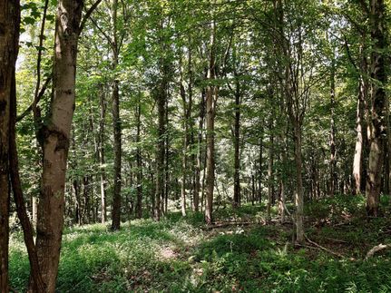 Property in Mason County, West Virginia