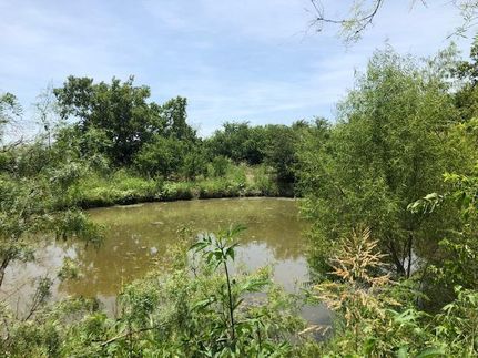 Property in Limestone County, Texas