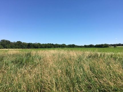 Property in Olmsted County, Minnesota