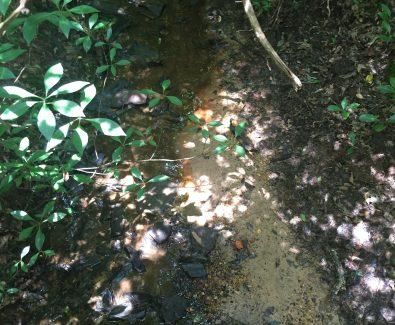 Property in Fayette County, Alabama