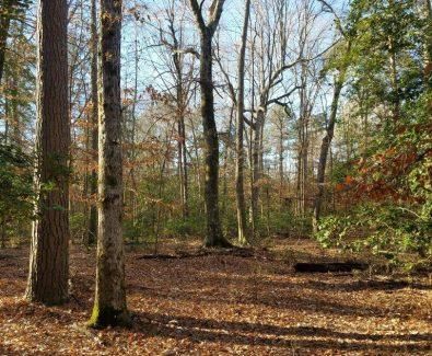 Property in Grant County, Arkansas