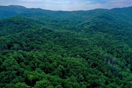 Property in Henderson County, North Carolina