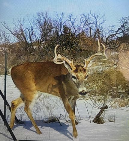 Property in Childress County, Texas