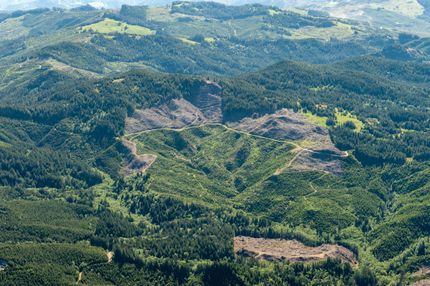 Property in Curry County, Oregon