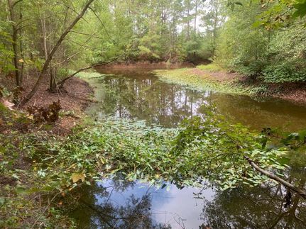 Property in Cumberland County, North Carolina