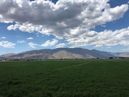Property in Lyon County, Nevada
