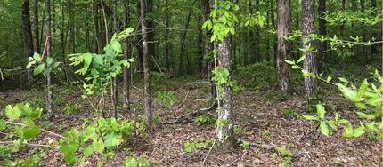 Property in Cullman County, Alabama