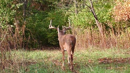 Property in DeWitt County, Illinois