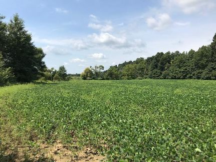 Property in Clinton County, Ohio