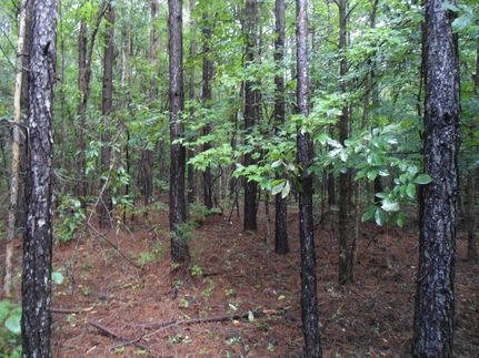 Property in Choctaw County, Alabama