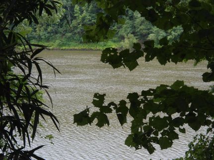 Property in Clarke County, Alabama