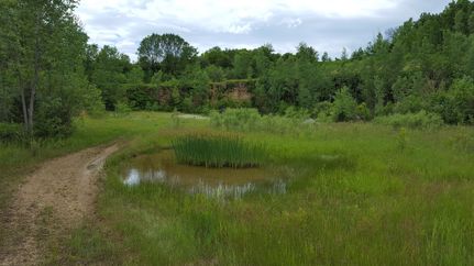 Property in Whiteside County, Illinois