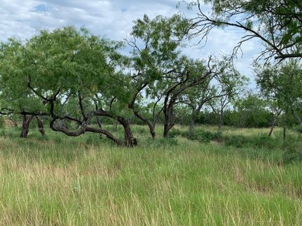 Property in Wilson County, Texas