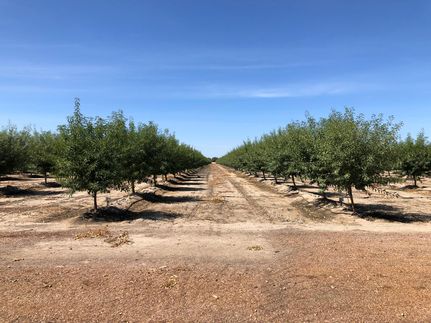 Property in Fresno County, California