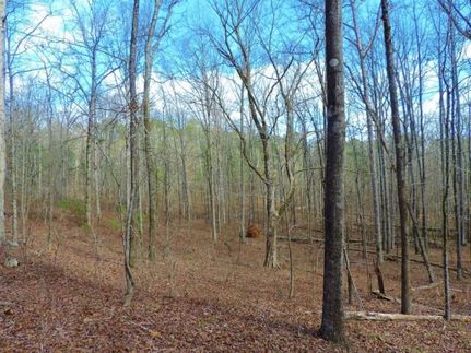 Property in Greene County, Georgia