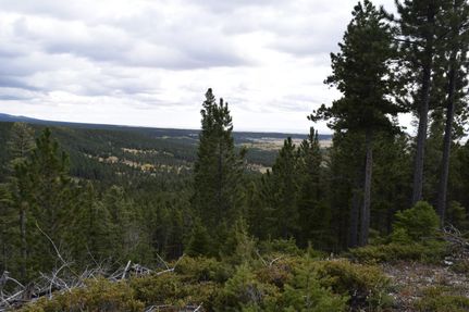 Property in Fergus County, Montana