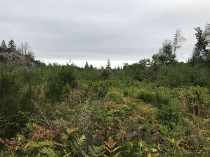 Property in Pierce County, Washington