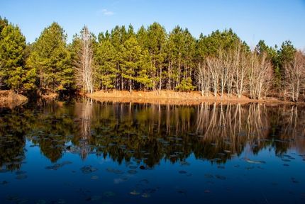 Property in Screven County, Georgia
