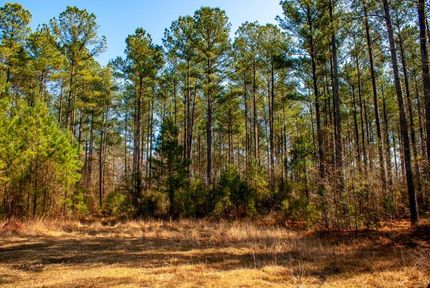 Property in Orangeburg County, South Carolina
