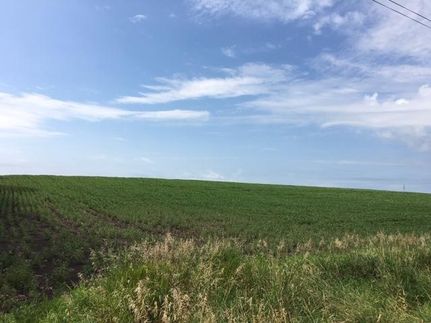 Property in Blue Earth County, Minnesota