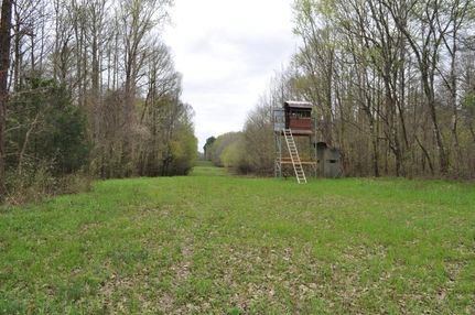 Property in Sumter County, Alabama