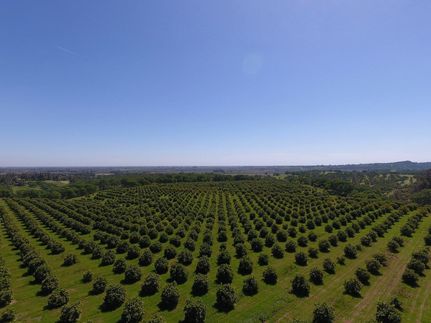 Property in Yolo County, California