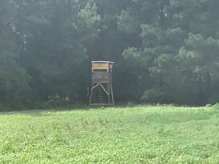 Property in Bamberg County, South Carolina