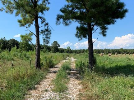 Property in Red River County, Texas