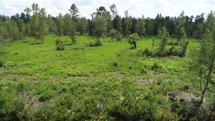 Property in Camden County, Georgia