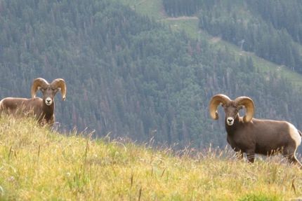 Property in Taos County, New Mexico