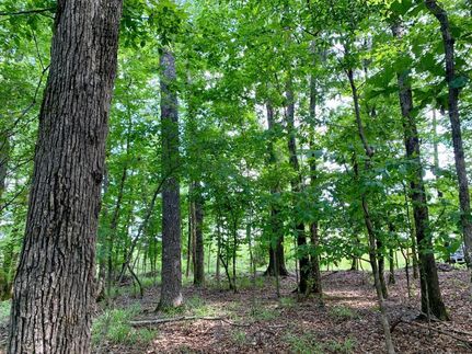 Property in Monroe County, Alabama