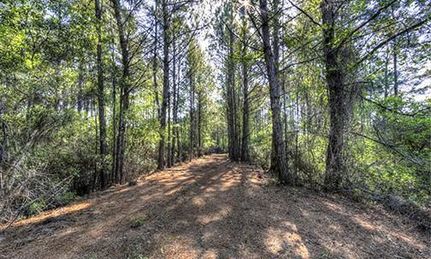 Property in Jefferson County, Florida