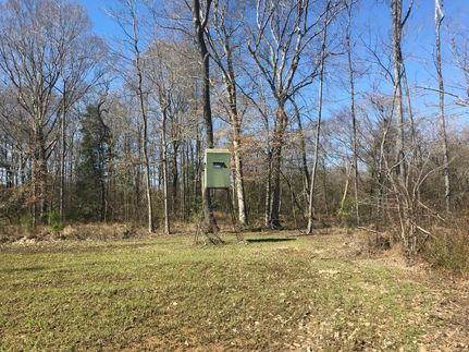 Property in Lamar County, Alabama