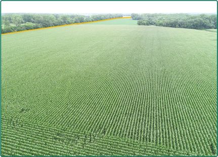 Property in Douglas County, Nebraska