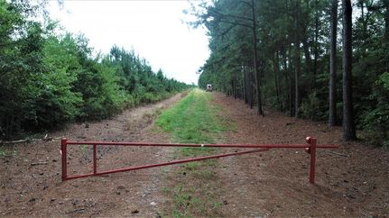 Property in Bertie County, North Carolina