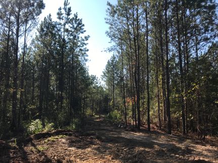 Property in Madison County, Mississippi