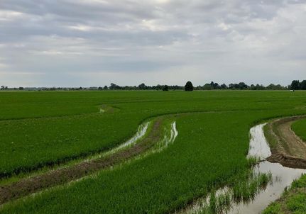 Property in Poinsett County, Arkansas