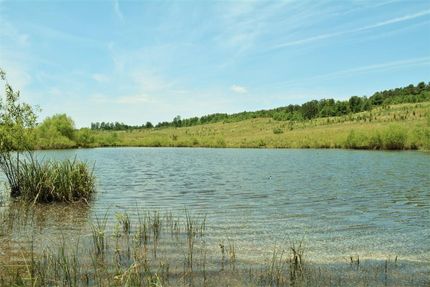 Property in Shelby County, Alabama