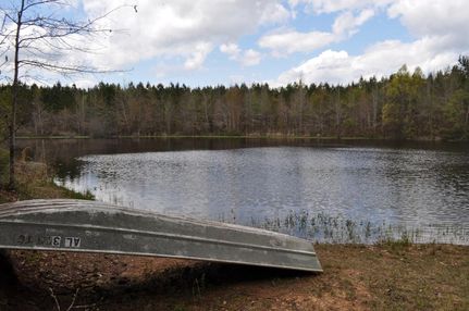 Property in Sumter County, Alabama