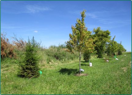 Property in Johnson County, Iowa