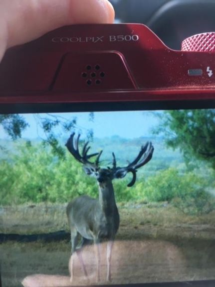 Property in Dimmit County, Texas