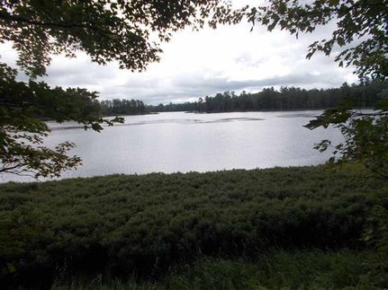 Property in Alger County, Michigan