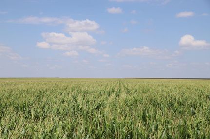 Property in Wallace County, Kansas